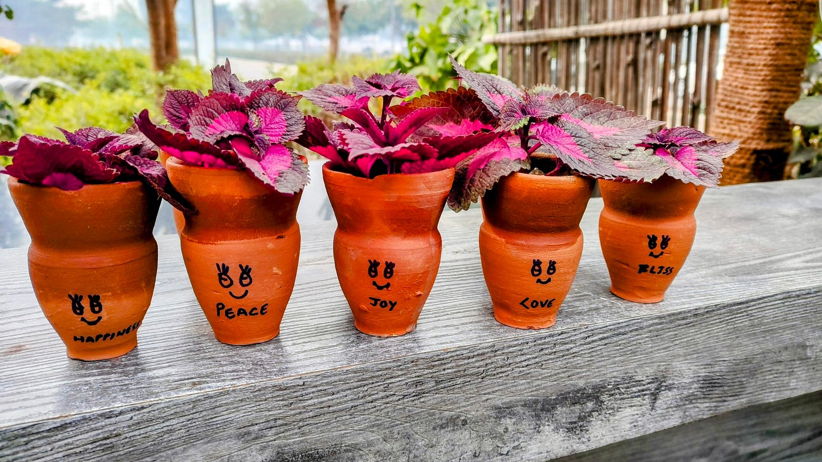 From Chai to Cheer: How The Secret Spices Gives Every Kullhad a Second Life