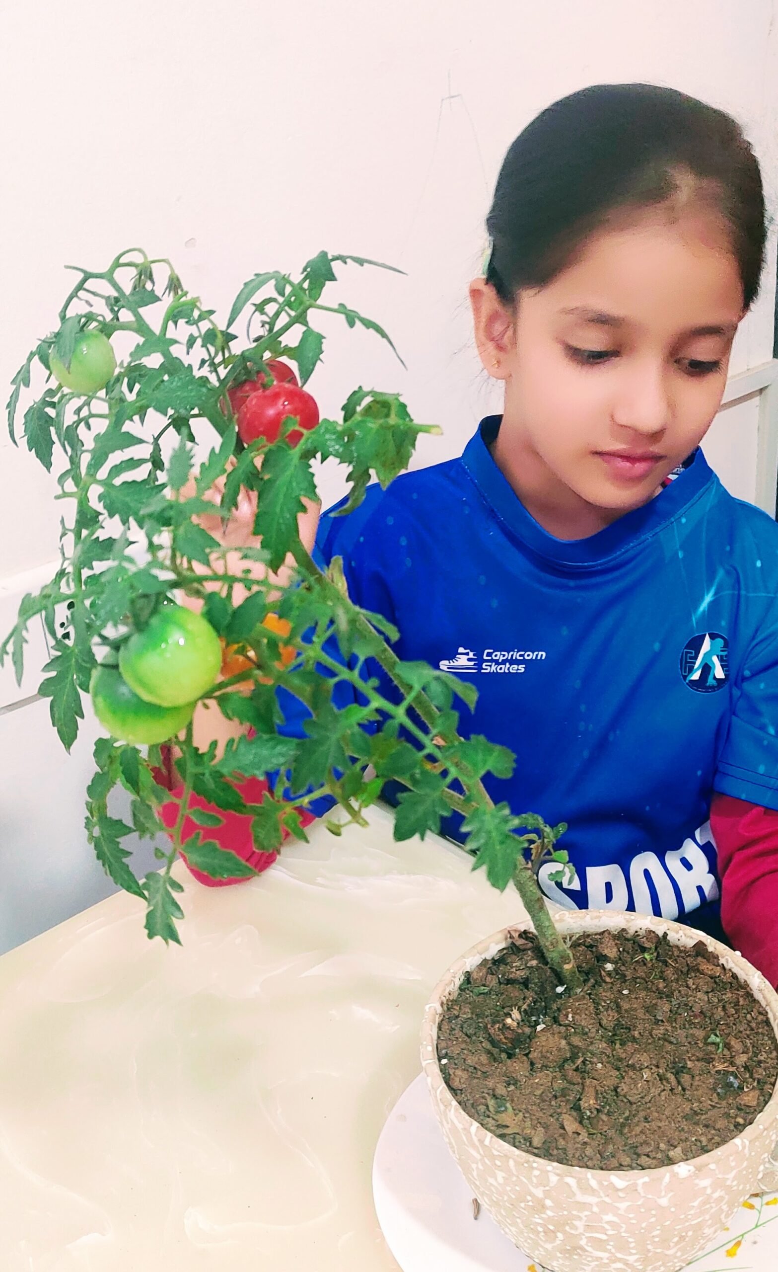 A Summer of Seeds: Advika’s Balcony Garden Journey in Gurgaon